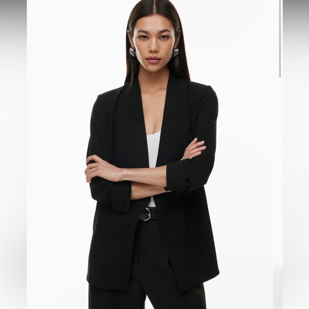 Aritzia Babaton New Power Blazer